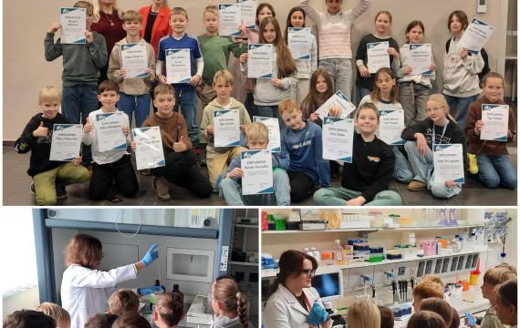 Moksleivių edukacija IMC