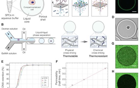 IMC mokslininko publikacija "Science" moksliniame leidinyje