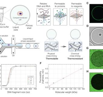 IMC mokslininko publikacija "Science" moksliniame leidinyje